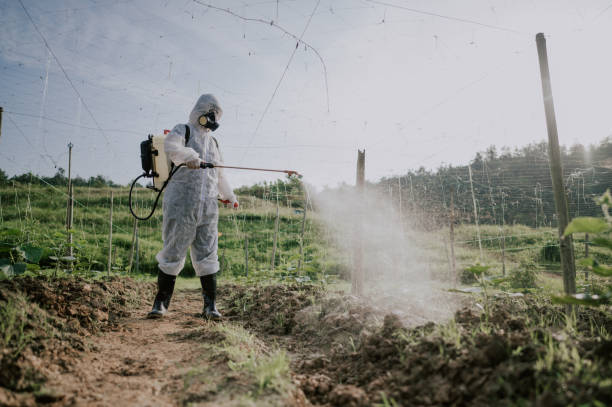 Best Ant Control Services  in Perry, MI