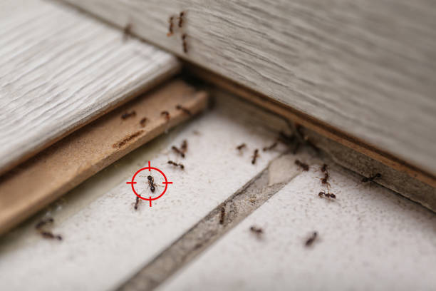 Perry, MI Pest Control Company