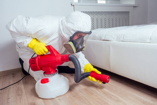 Best Ant Control Services  in Perry, MI