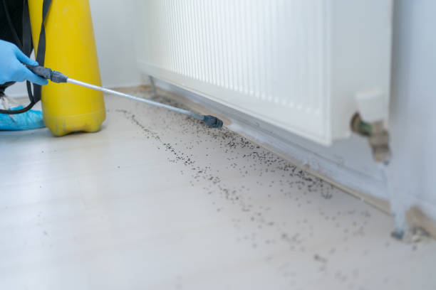 Best Affordable Exterminators  in Perry, MI