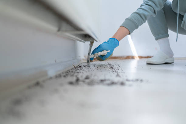  Perry, MI Pest Control Pros