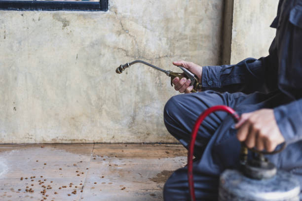 Wasp Removal Services in Perry, MI